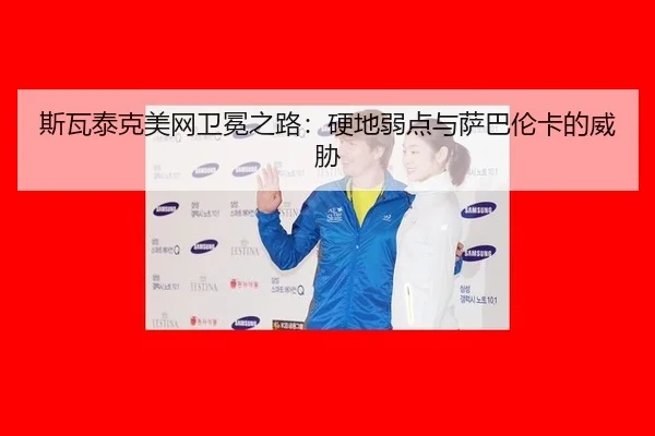 si-wa-tai-ke-mei-wang-wei-mian-zhi-lu-ying-di-ruo-dian-yu-sa-ba-lun-ka-de-wei-xie-2-780.jpg